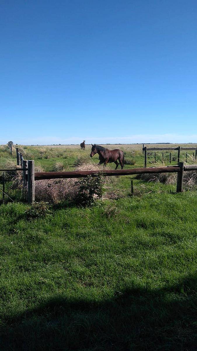 Se Venden 240 Has , Mixtas con MB Mejoras Sierra de Ventan