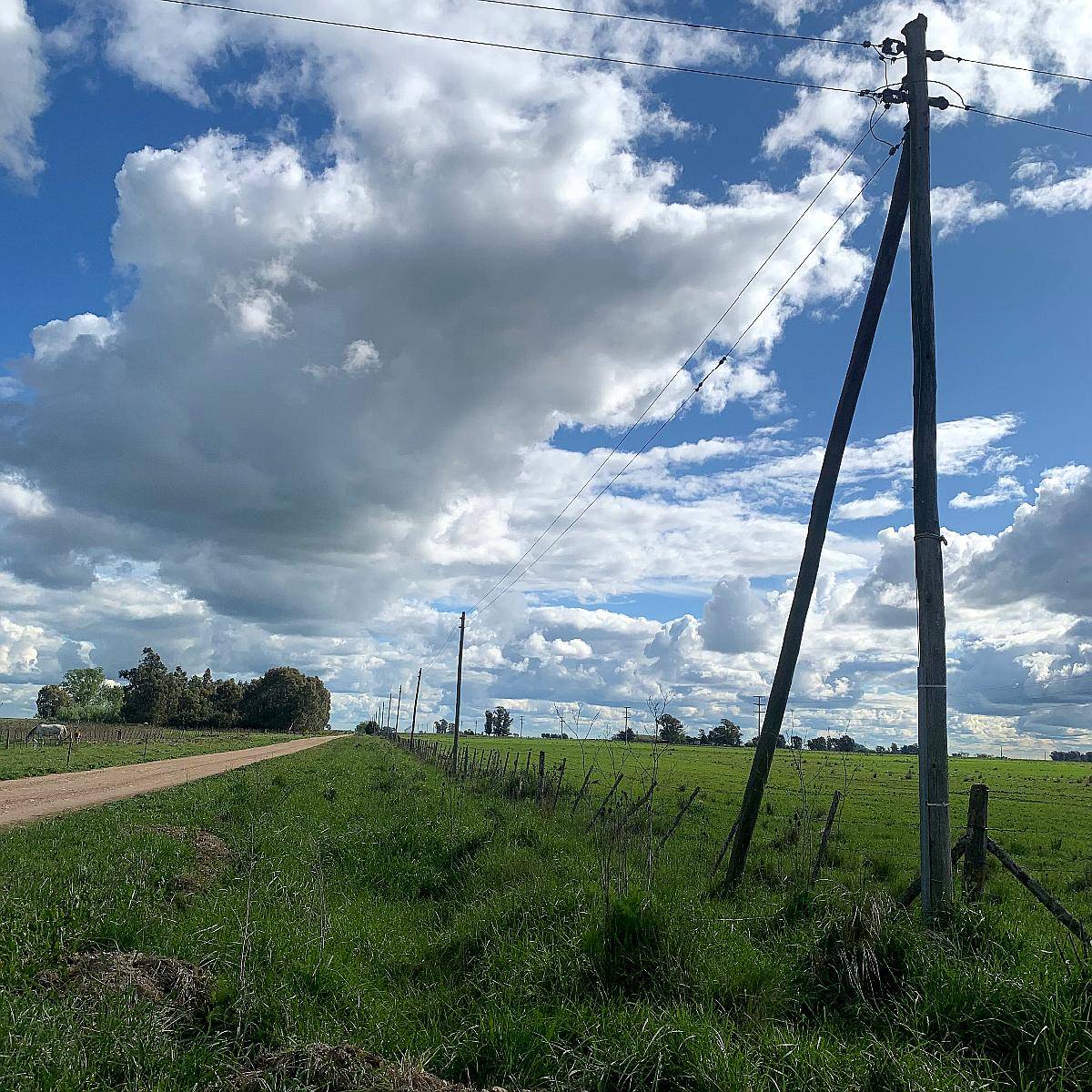 Chacra en Benito Juárez