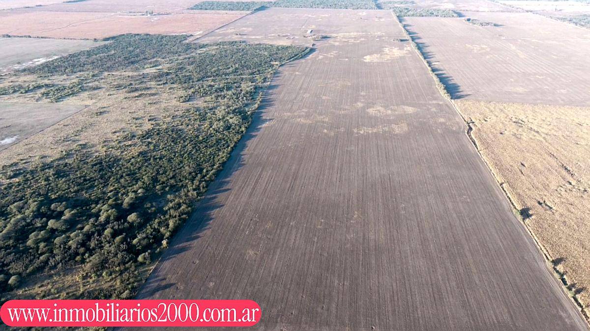 Córdoba la Francia 150 Has Agricolas