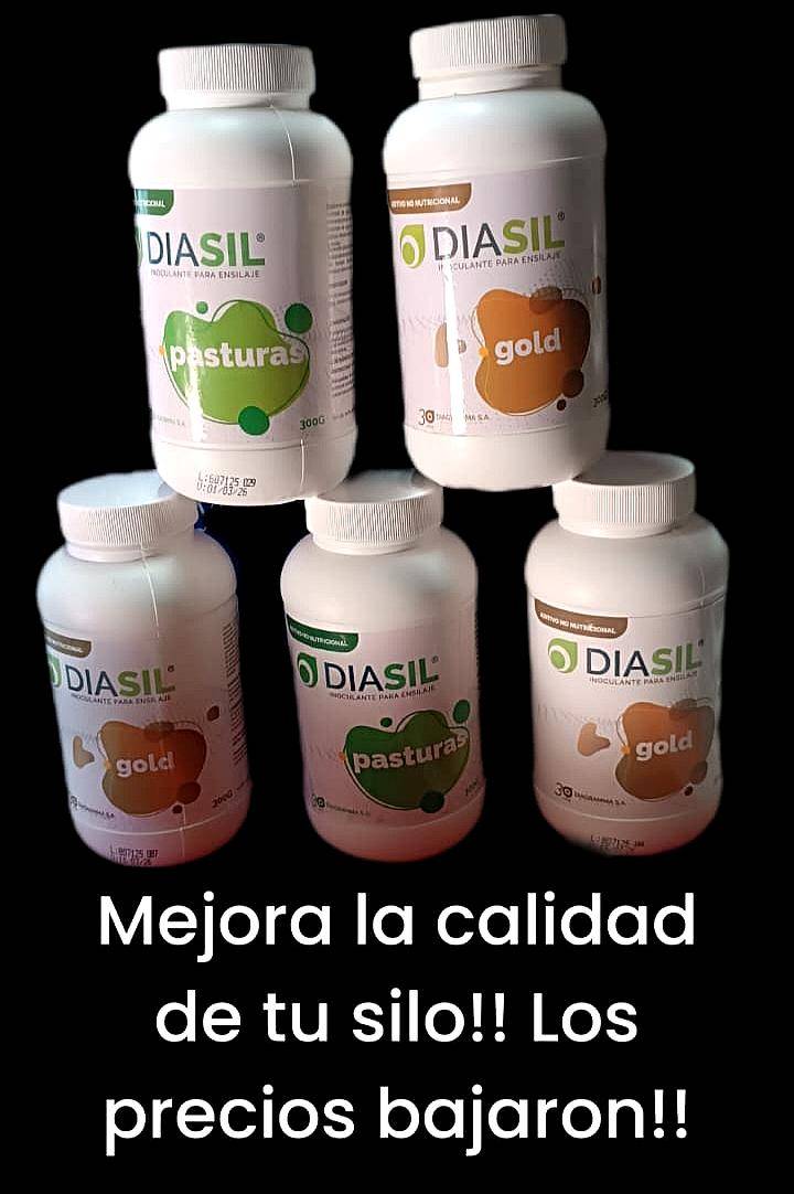 Inoculante para Silos Diasil Pasturas y Granos