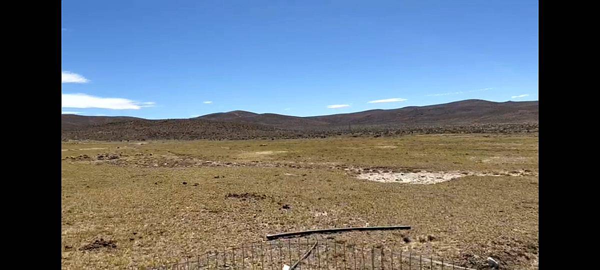 Campo Ganadero Sobre Ruta Provincial N°62 Meseta Chubut.