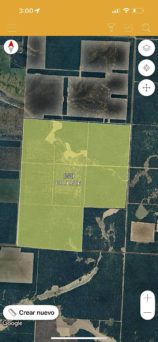 650 Hectáreas Título de Propiedad