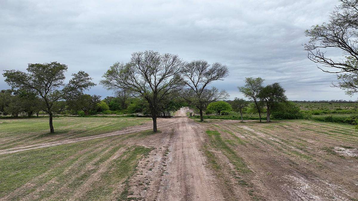 Clodomira, Banda, Santiago del Estero - 4.330 Ha