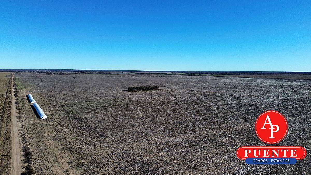 1000 HA. Agrícolas en Alquiler