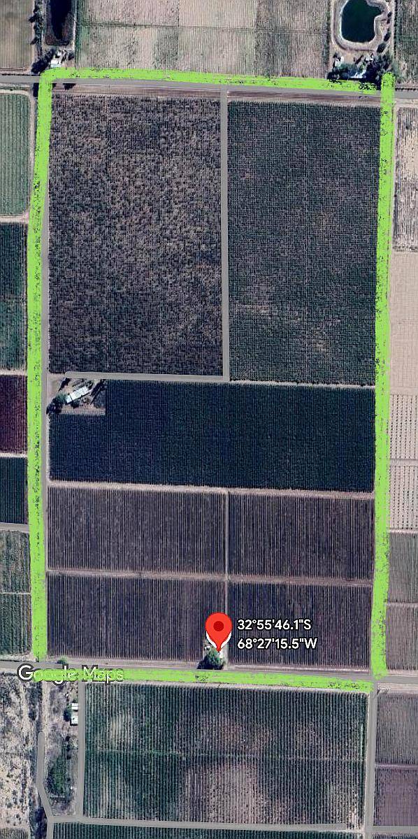 Finca de Viñedos Vitivinícola 34 Ha 2 Pozos,malla Anigranizo