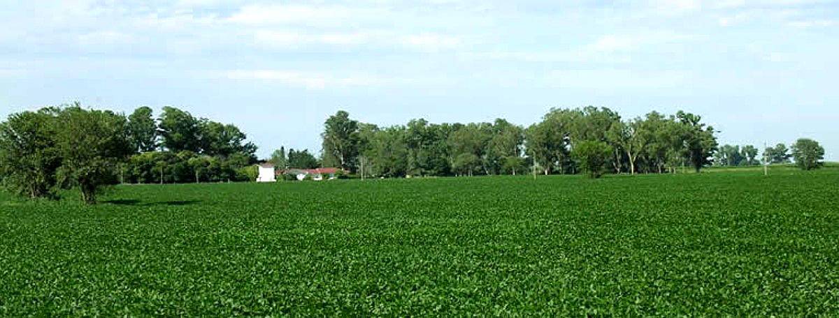 Traill - 1561 Ha - Santa FE