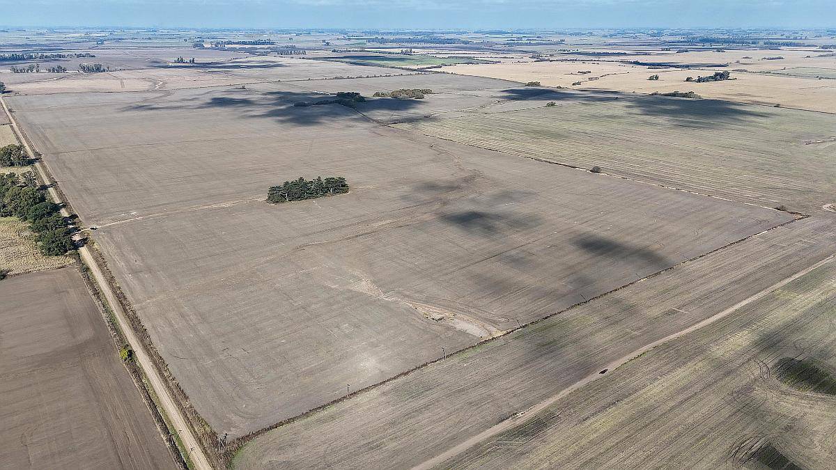 Campo de 120 Hectáreas Agrícola