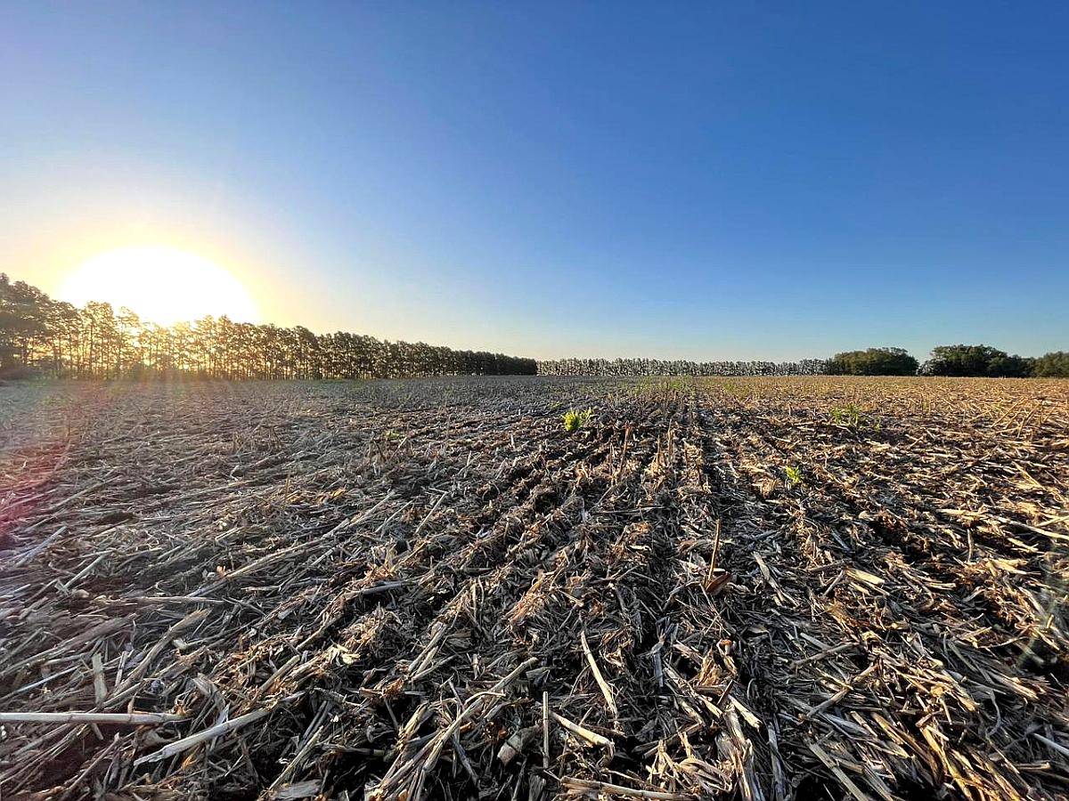 Piloto Automatico Centrix con Señal RTK - 2cm