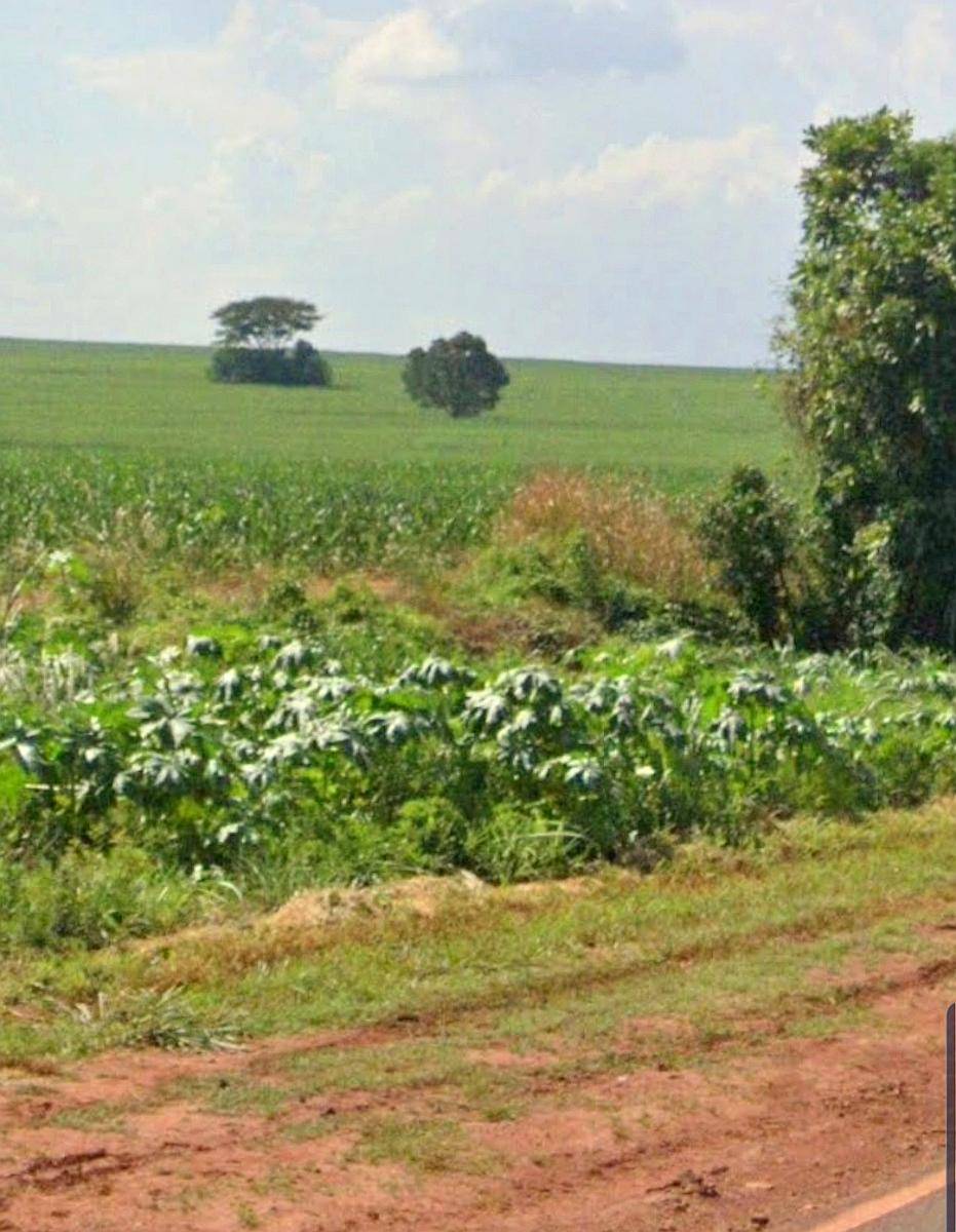 Imperdible Oportunidad Venta de Campo