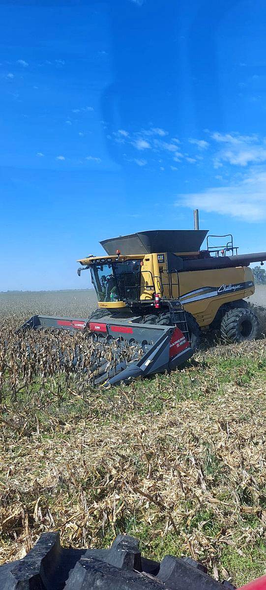 Cosechadora Challenger 680 B 2013 Excelente Estado