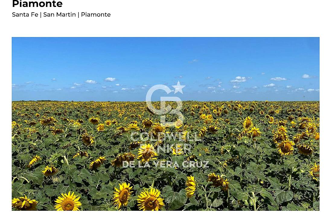 Piamonte, Santa FE, Campo Mixto