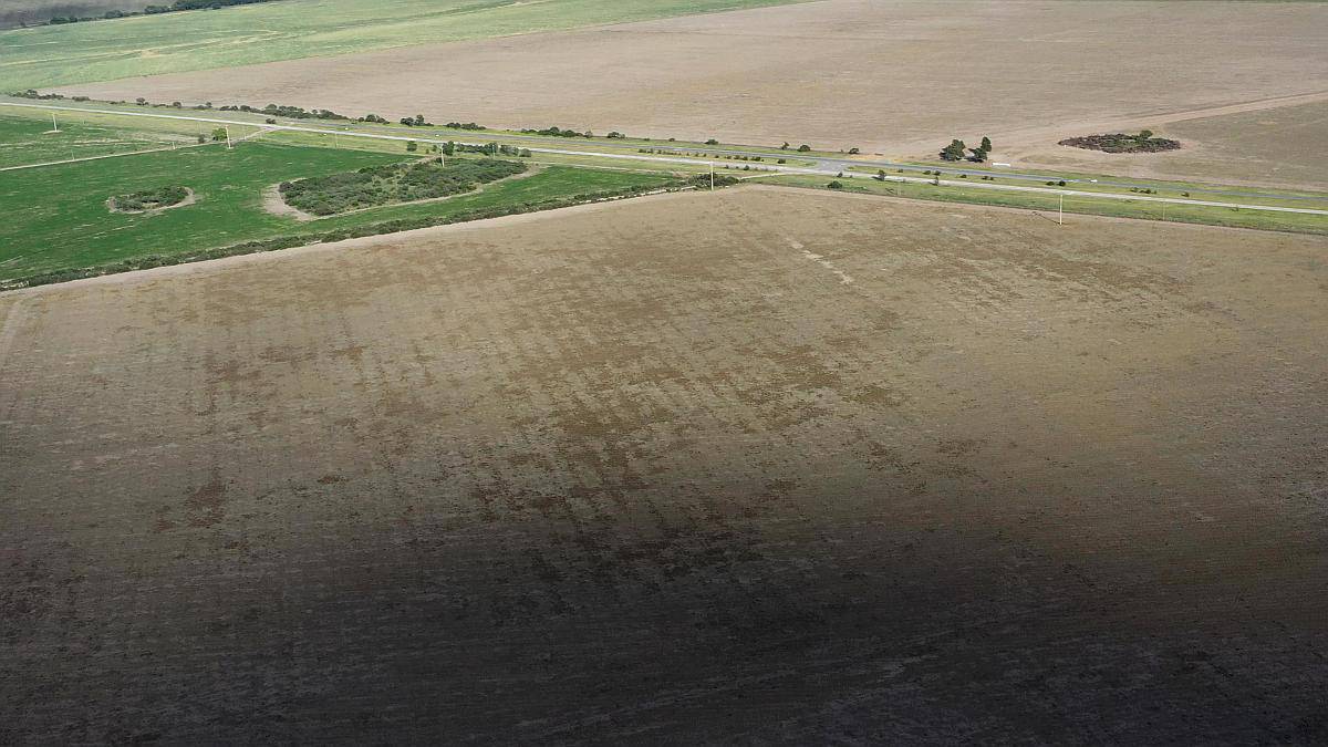 San Luis Naschel 200 Has 100 % Agrícolas