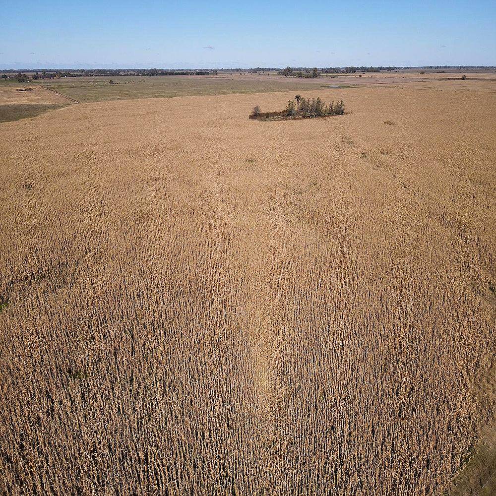 Campo en Venta de 178 Has en las Heras. Agricola