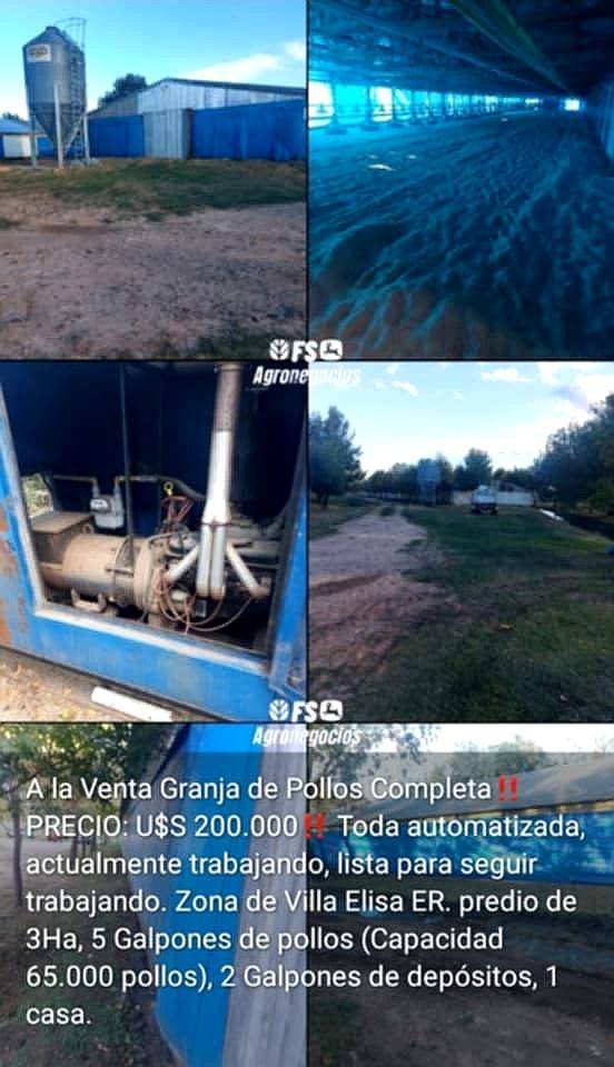 Venta de Granja Completa Actualmente Trabajando