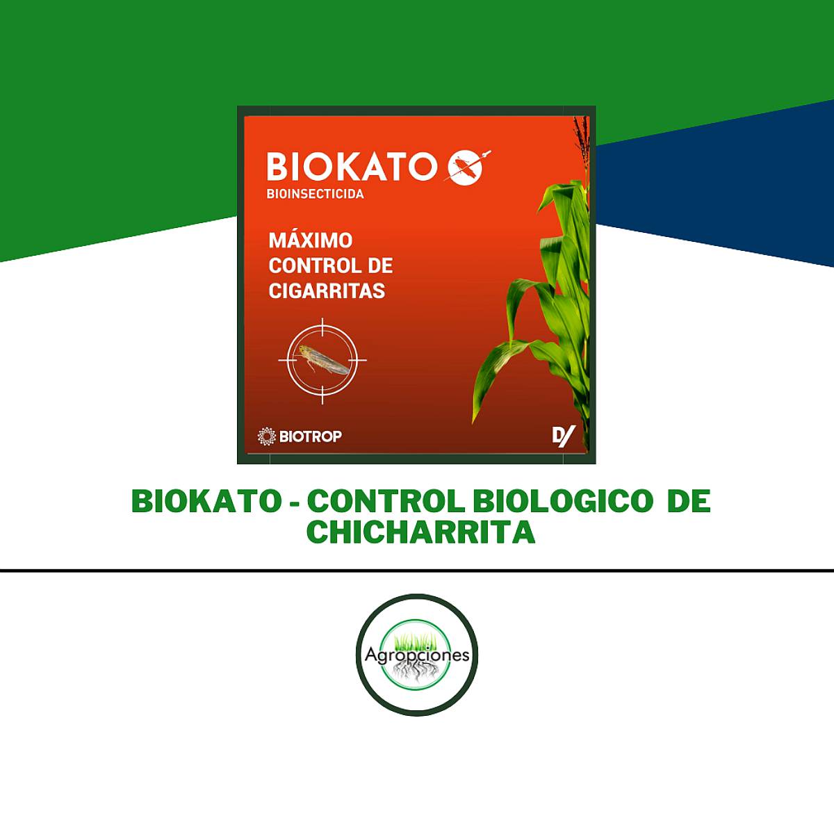 Insecticida Biokato para Control Biologico de Chicharrita