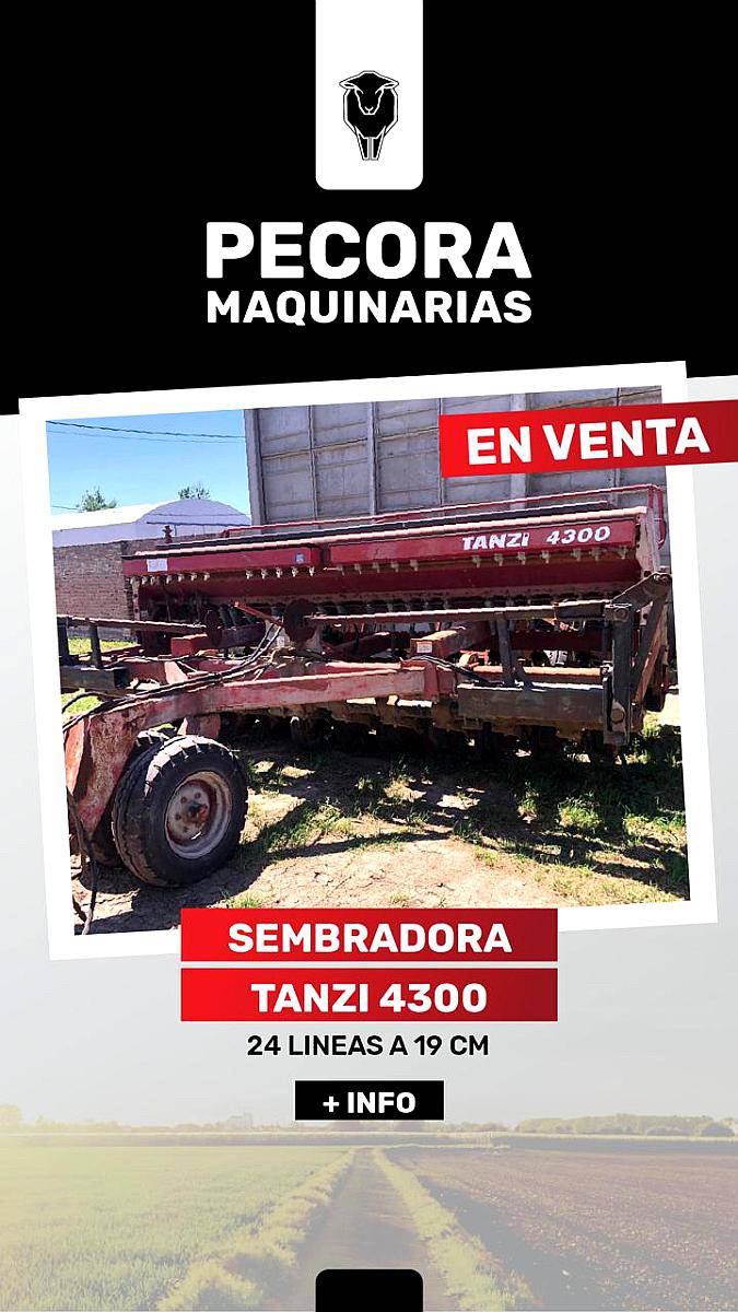 Oferta Tanzi de Grano Fino