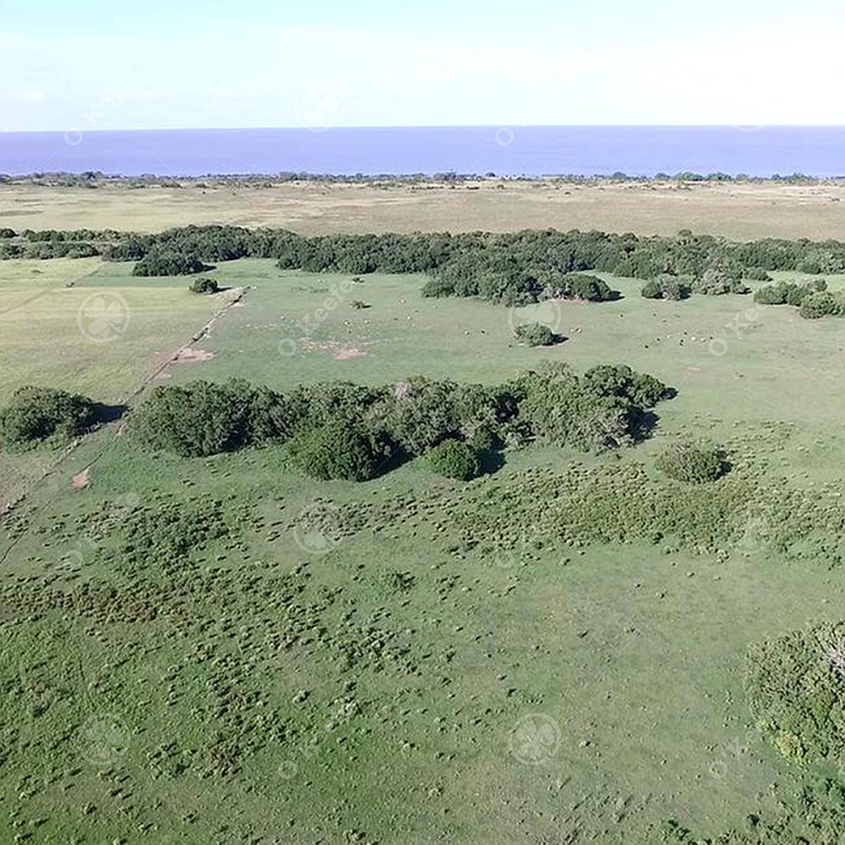 Campo en Venta 613 Has Agrícolas en Venta en Magdalena