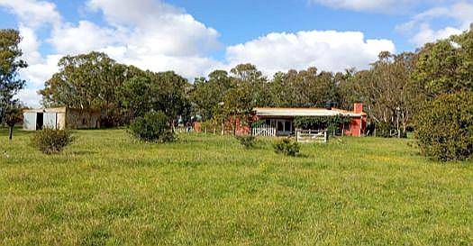 Campo en Dolores BS AS