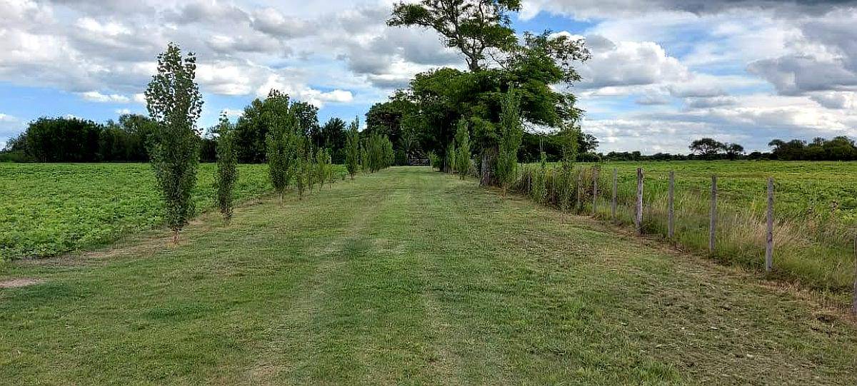 66 Ha Paraná. Casco de Estancia