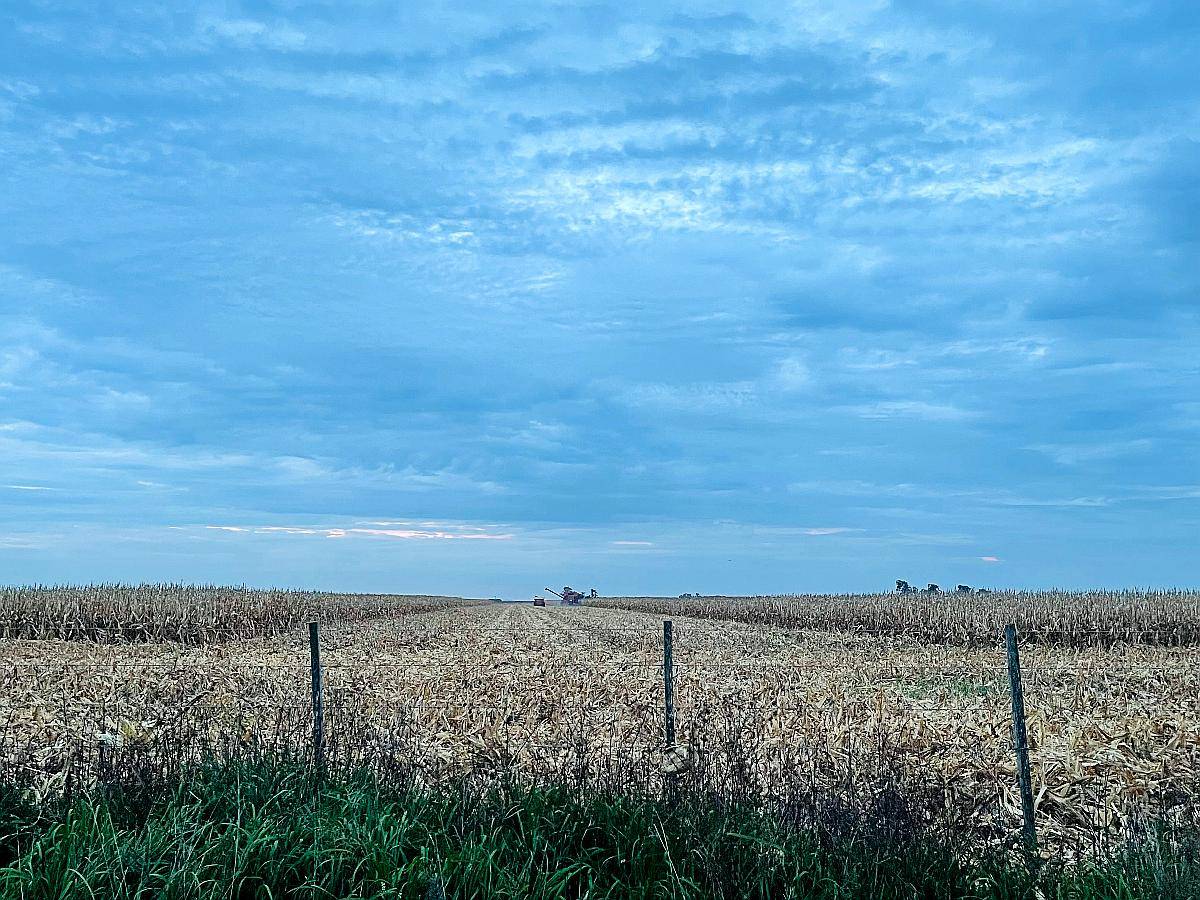 Muy Buen Campo Mixto en Blaquier