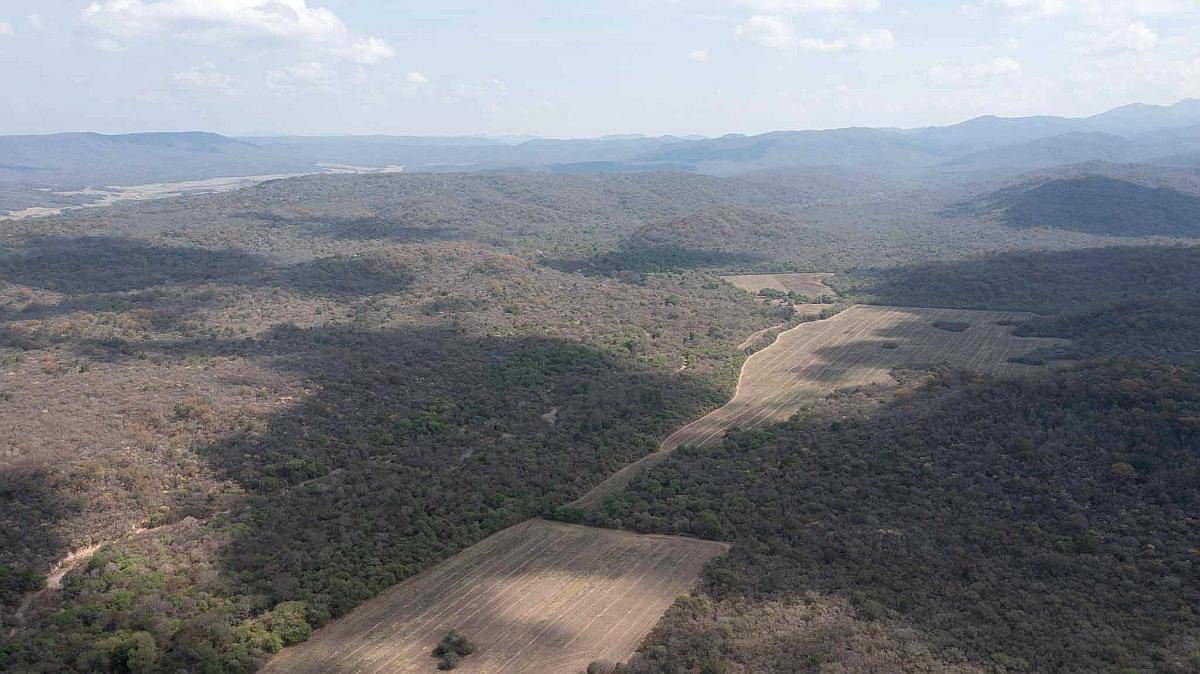 Pcia. de Salta - el Bordo 6190 Has