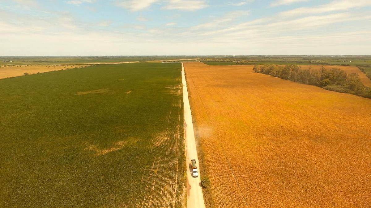 Campo en Venta en Rio Segundo, Córdoba