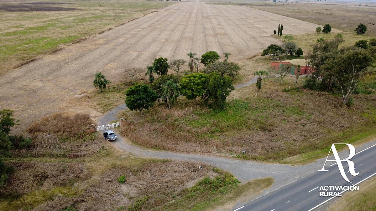 Campo Agrícola de 31,1 Ha en la Pelada, Santa FE