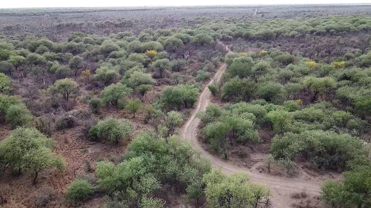 Campo las Palomas-san Luis