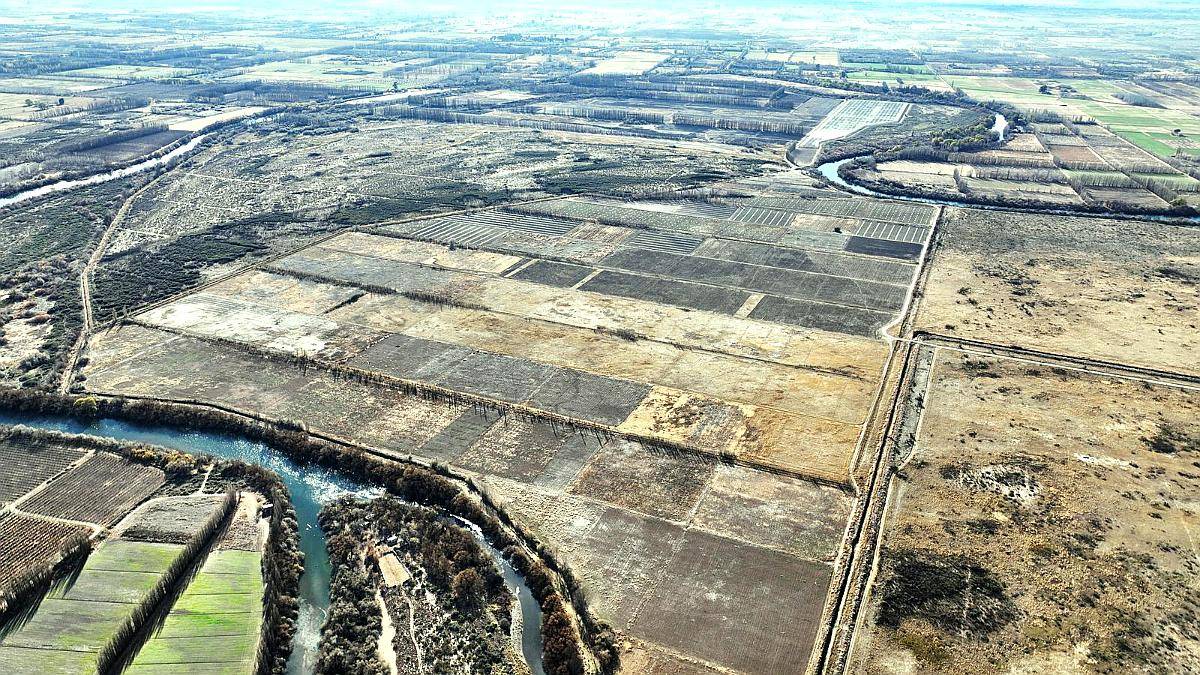 Lamarque, Avellandera, Río Negro - 16.387 Ha