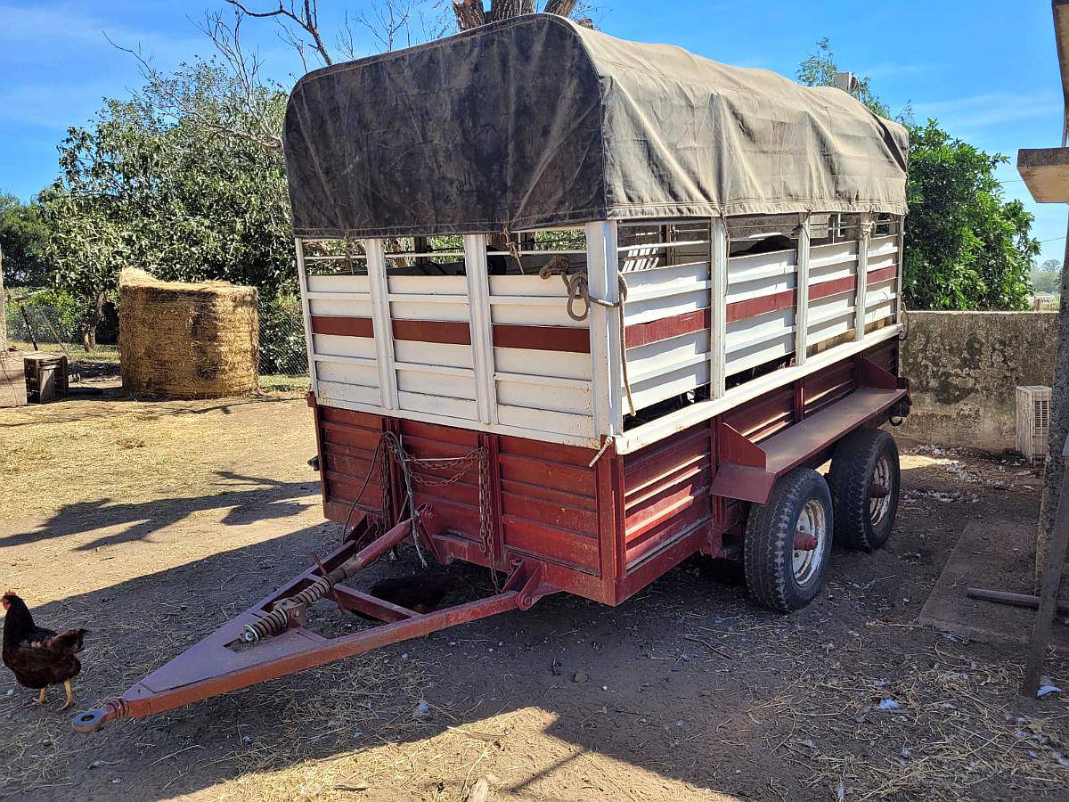 Jaula Vaquera Desmontable