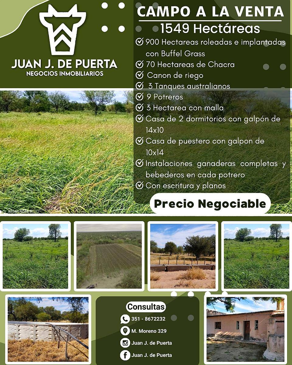 Campo Mixto en Venta - 1549 Hectáreas