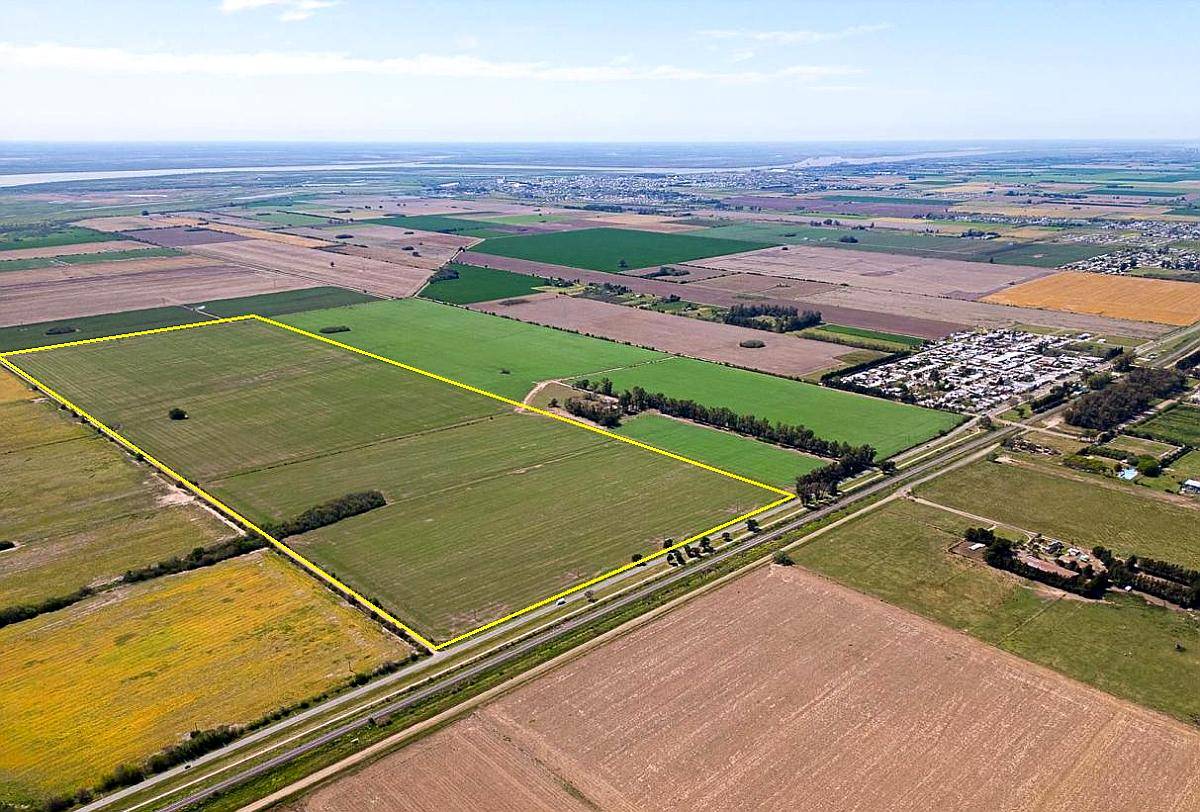 90 Ha Agrícolas Sobre Asfalto. Pavón, Constitución, SF