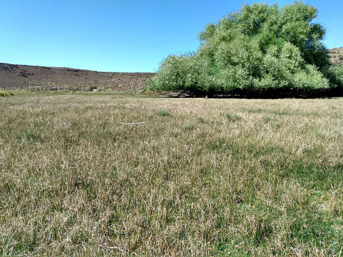 Vendo 18.800 Ha Rio Negro