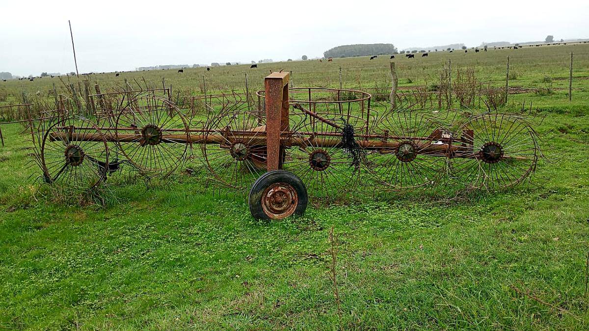 Rastrillo 6 Estrellas Usado