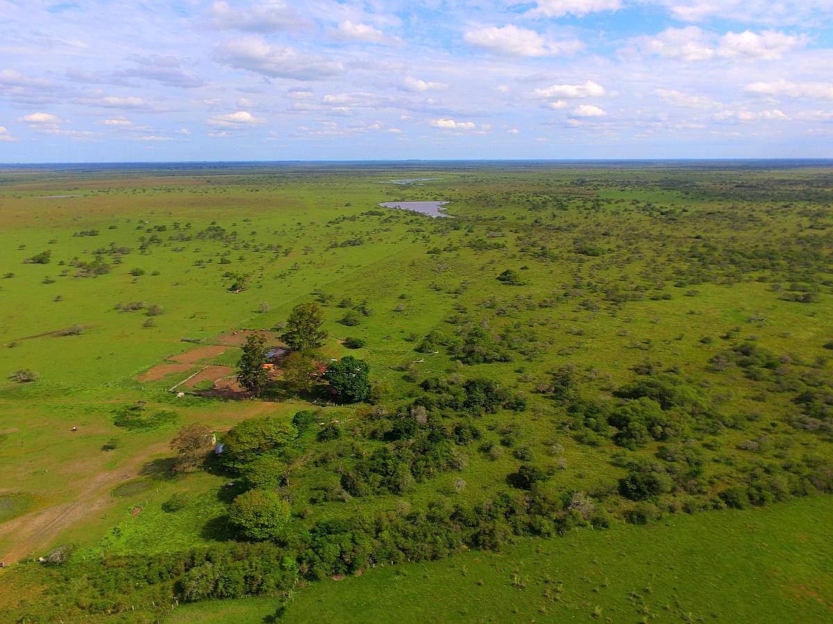 Se Busca para Compra Campo con Aptitud Arrocera