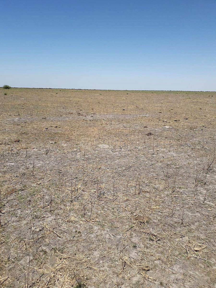 Se Vende Y/O Alquila Campo en Provincia de Santa FÉ