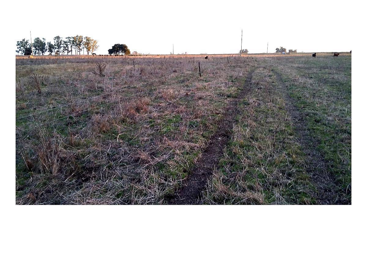 Campo en Venta en Punta Indio - 93 Hectáreas Sobre Ruta