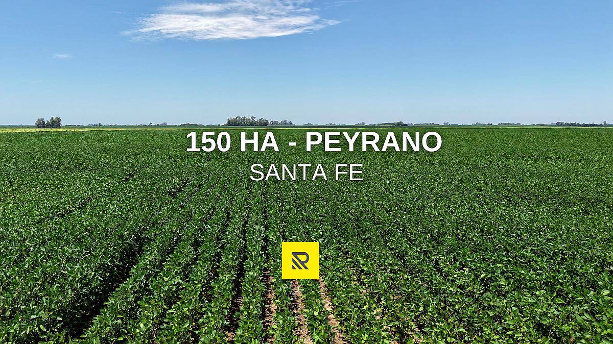 150 Ha Peyrano Santa FE