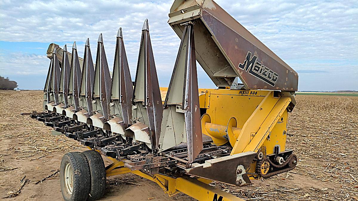 Maicero Maizco 8 a 52