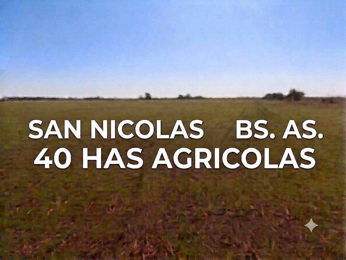 San Nicolas 40 Has Agricolas