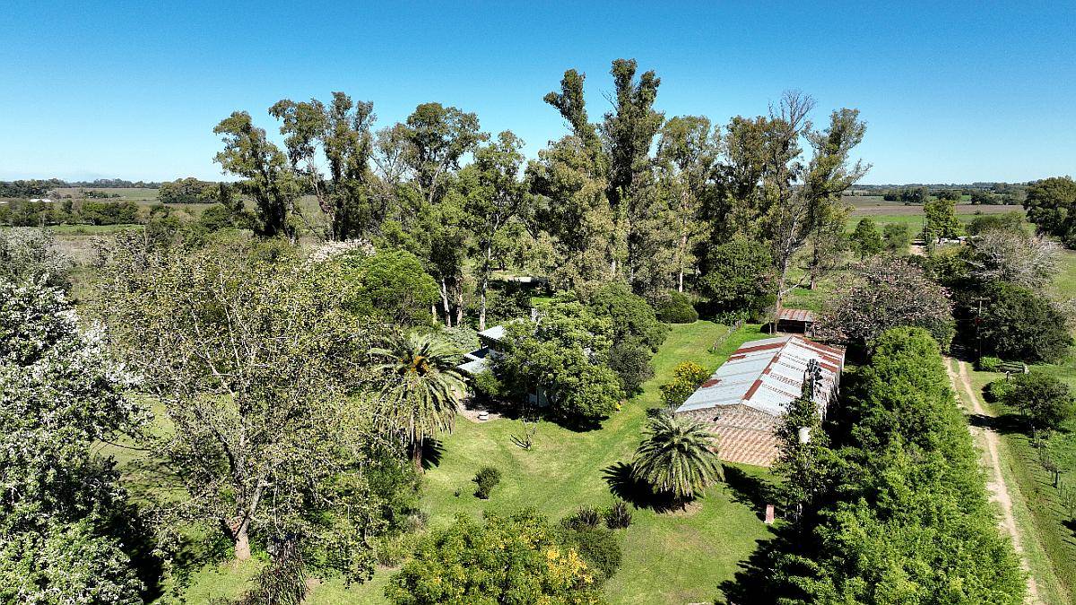 24 Has. Chacra en Zárate Apta Desarrollo Inmobiliario