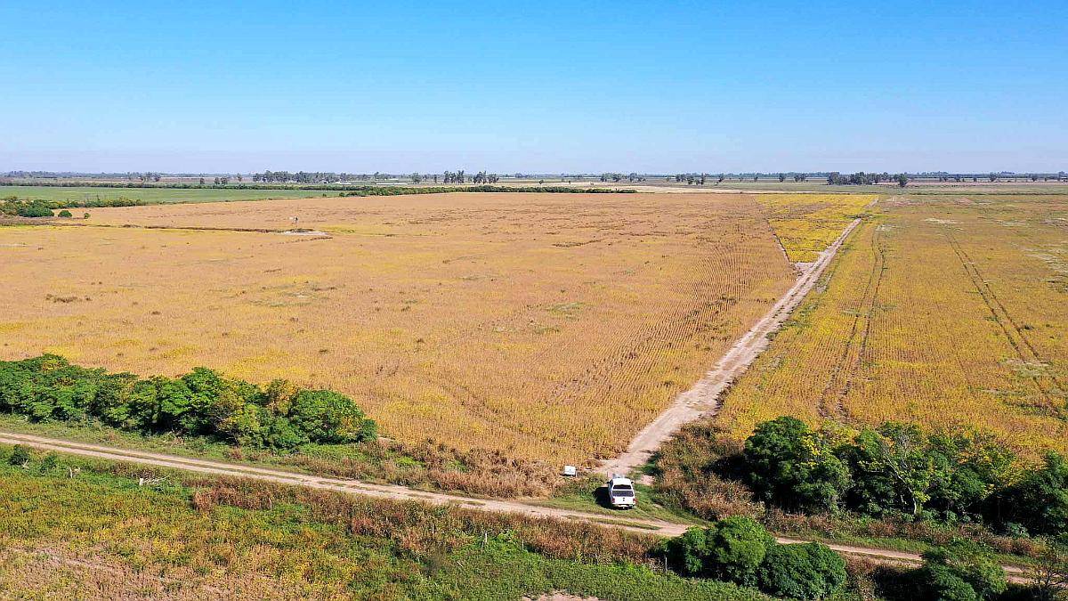 Pcia. de Santa FE - Colonia Raquel 103 Has