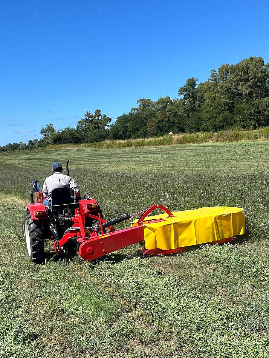 Segadora de Tambor 1.85 Ancho de Corte