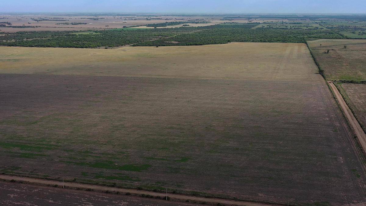 Vendo Campo en Cordoba Maquinista Gallini 160 Has Agricolas