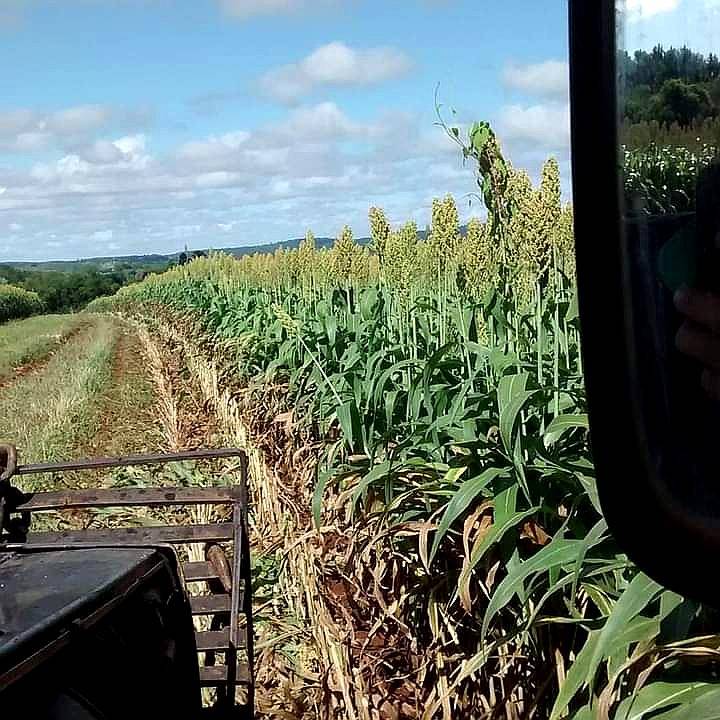 Dueño Vende Campo Misiones