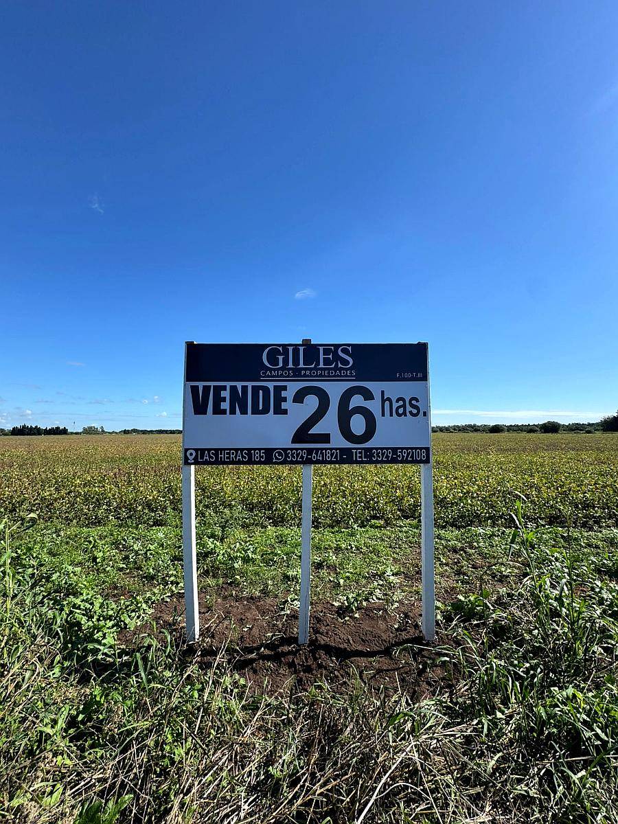 Campo Agrícola 26 Has