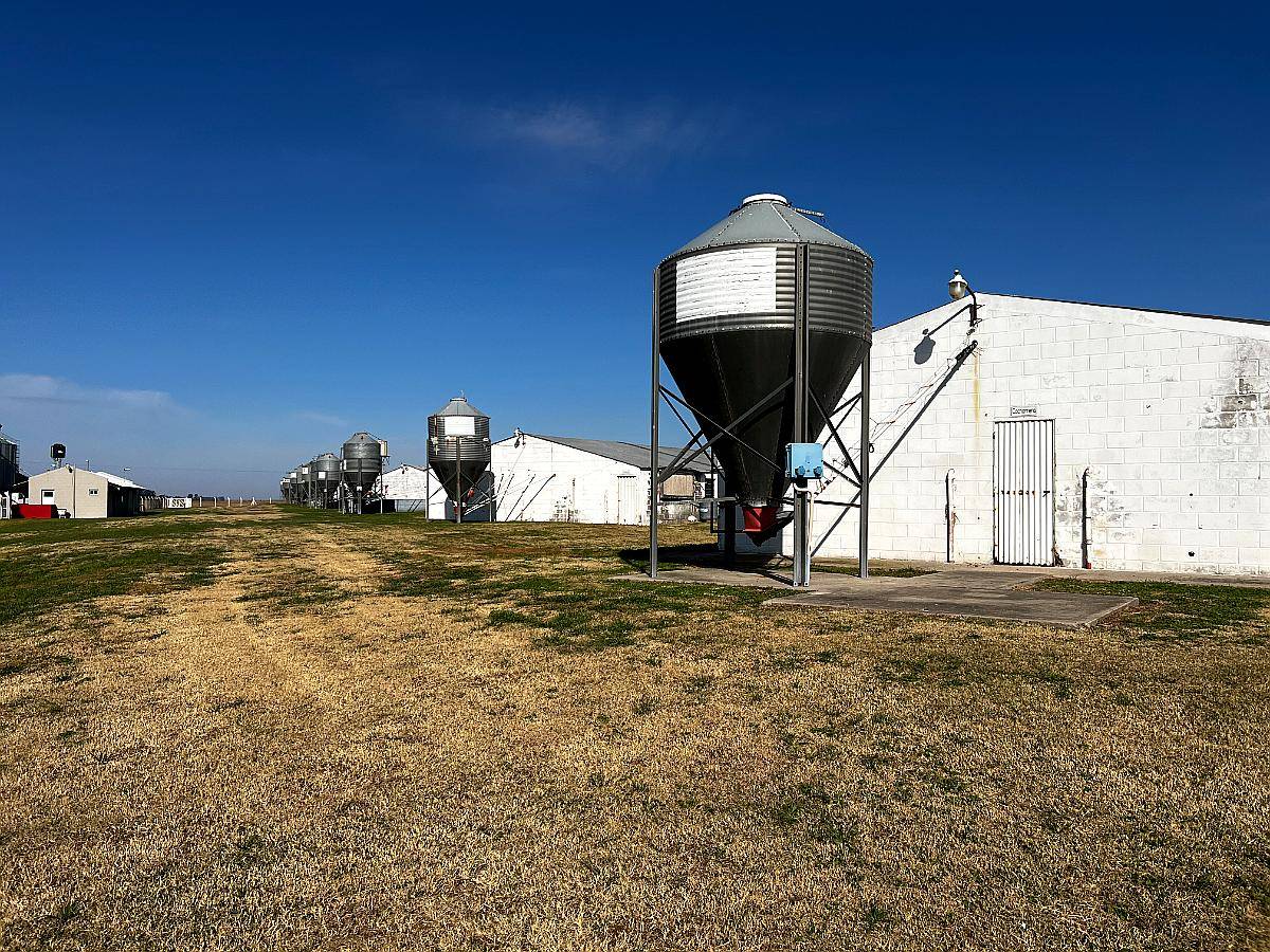 Oportunidad de Equipamiento Completo para Granja de Cerdos
