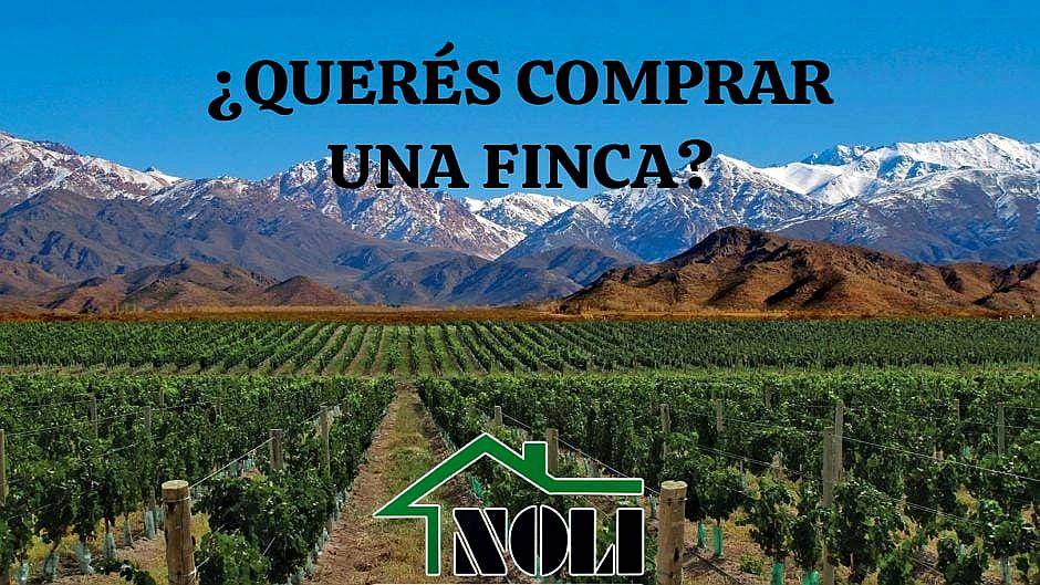 Queres Comprar UNA Finca/campo en Mendoza