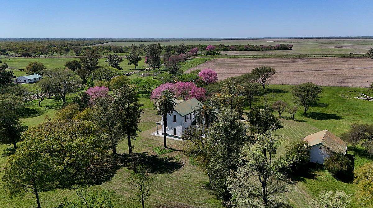 La Sarita, General Obligado, Santa FE - 11.209 Ha