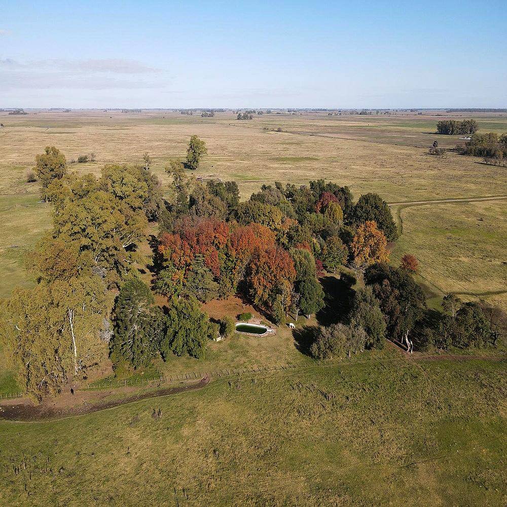 Campo en Venta de 110 Has en Mercedes. Ganadero
